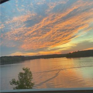 Meet your Posher, Peyton